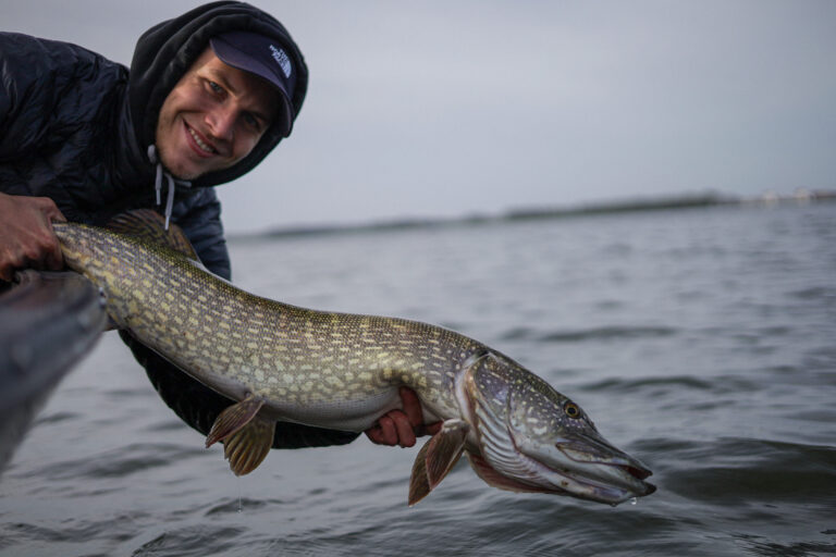 Ein Angler hält einen Hecht über die Bordwand von einem Boot